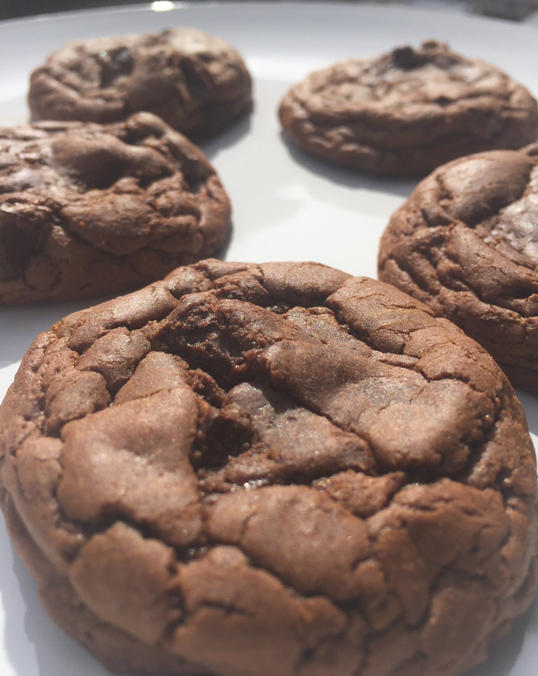 Gluten Free Double Chocolate Cookies